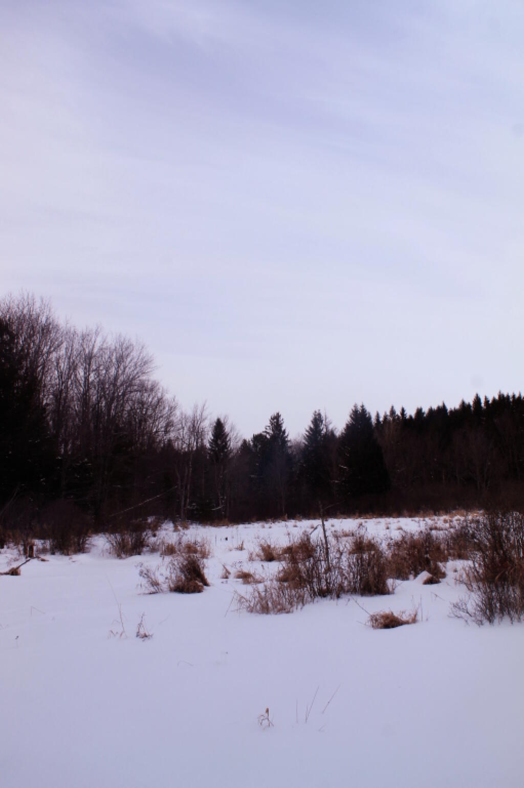 Photo: Pond