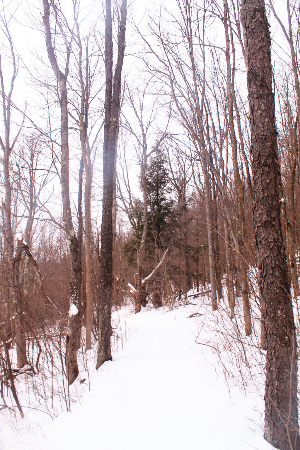 Photo: Photo.2014.02.08 18.12.58
