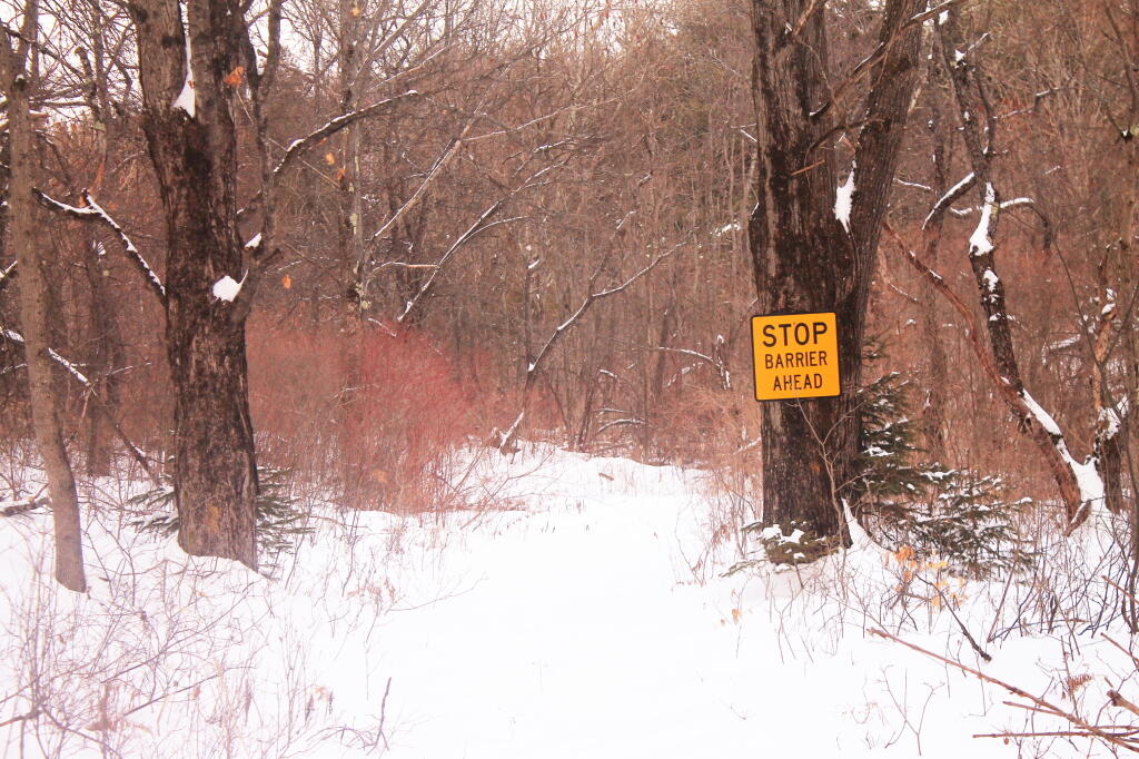 Photo: Skiing the back trails at Partridge Run