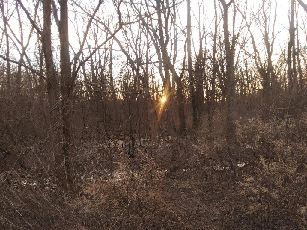 Photo: Setting Sun