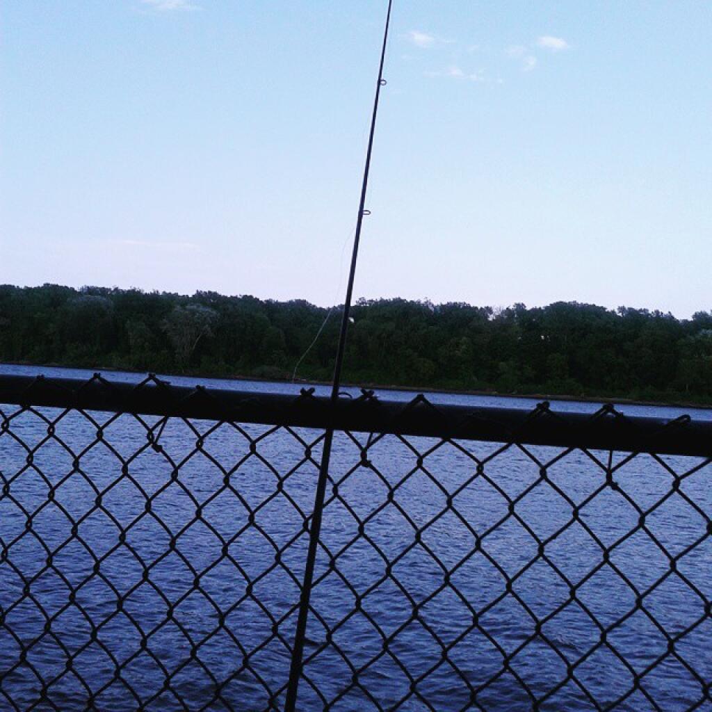 Photo: Fishing