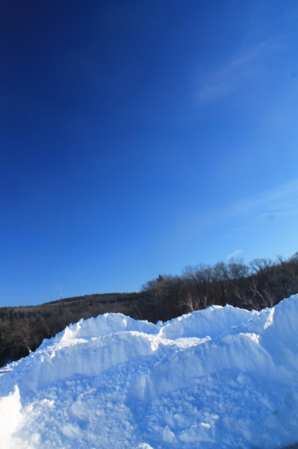 Photo: Winter Banks