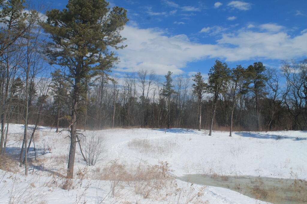 Photo: Small Wetland