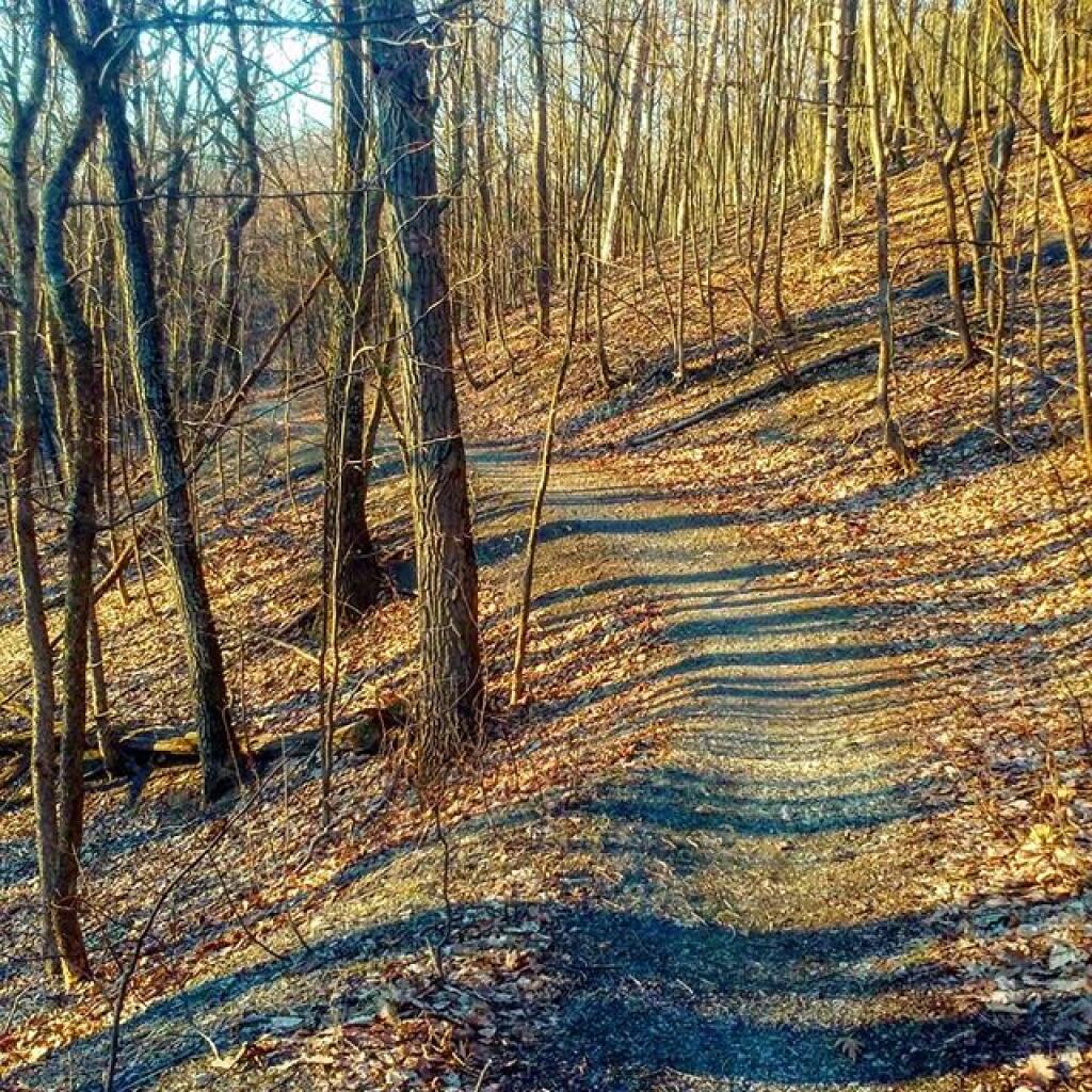Photo: Shadows fascinate me, even if it's just a tangent of the sun angle