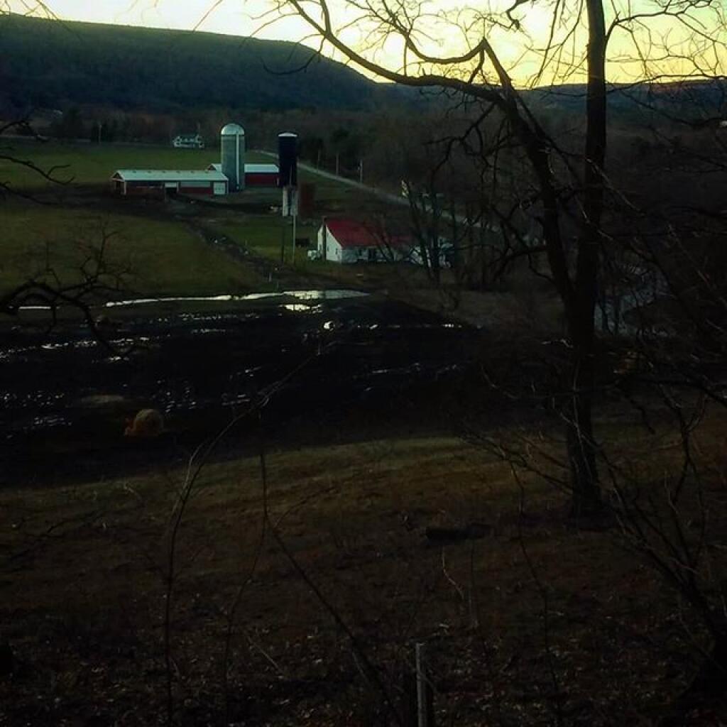 Photo: Dusk