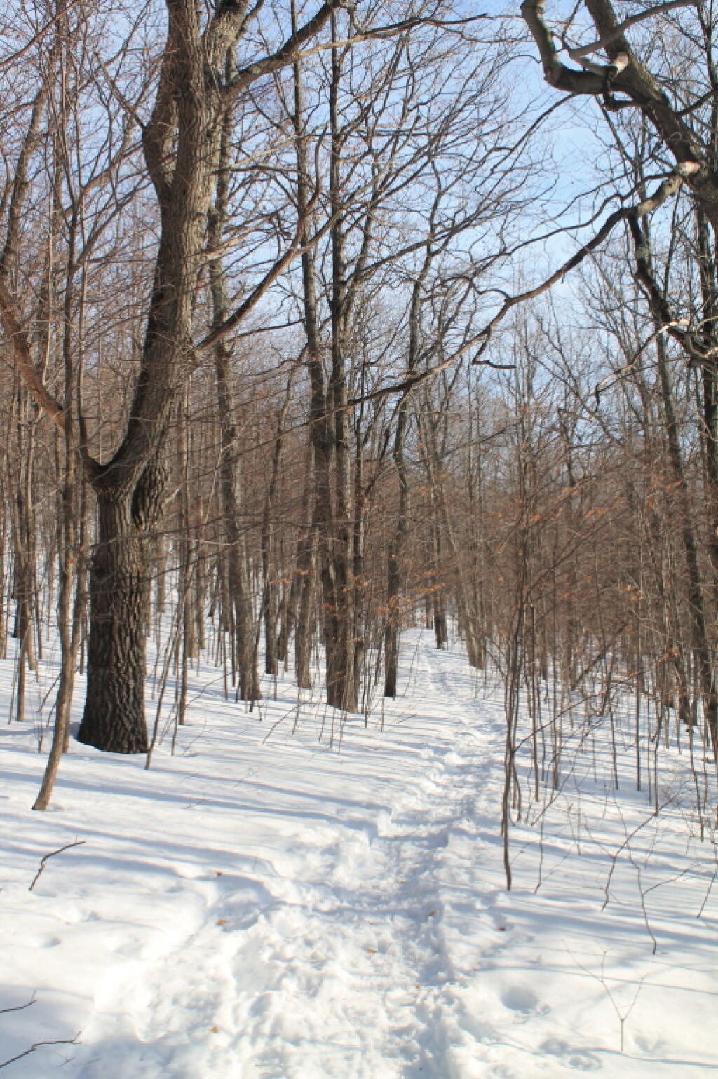 Photo: Heading Up Bennett Hill