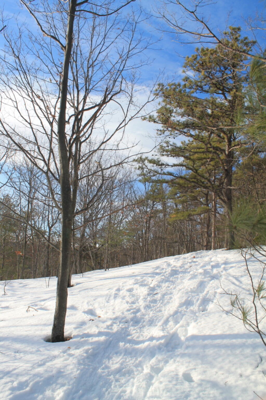 Photo: Almost to Summit