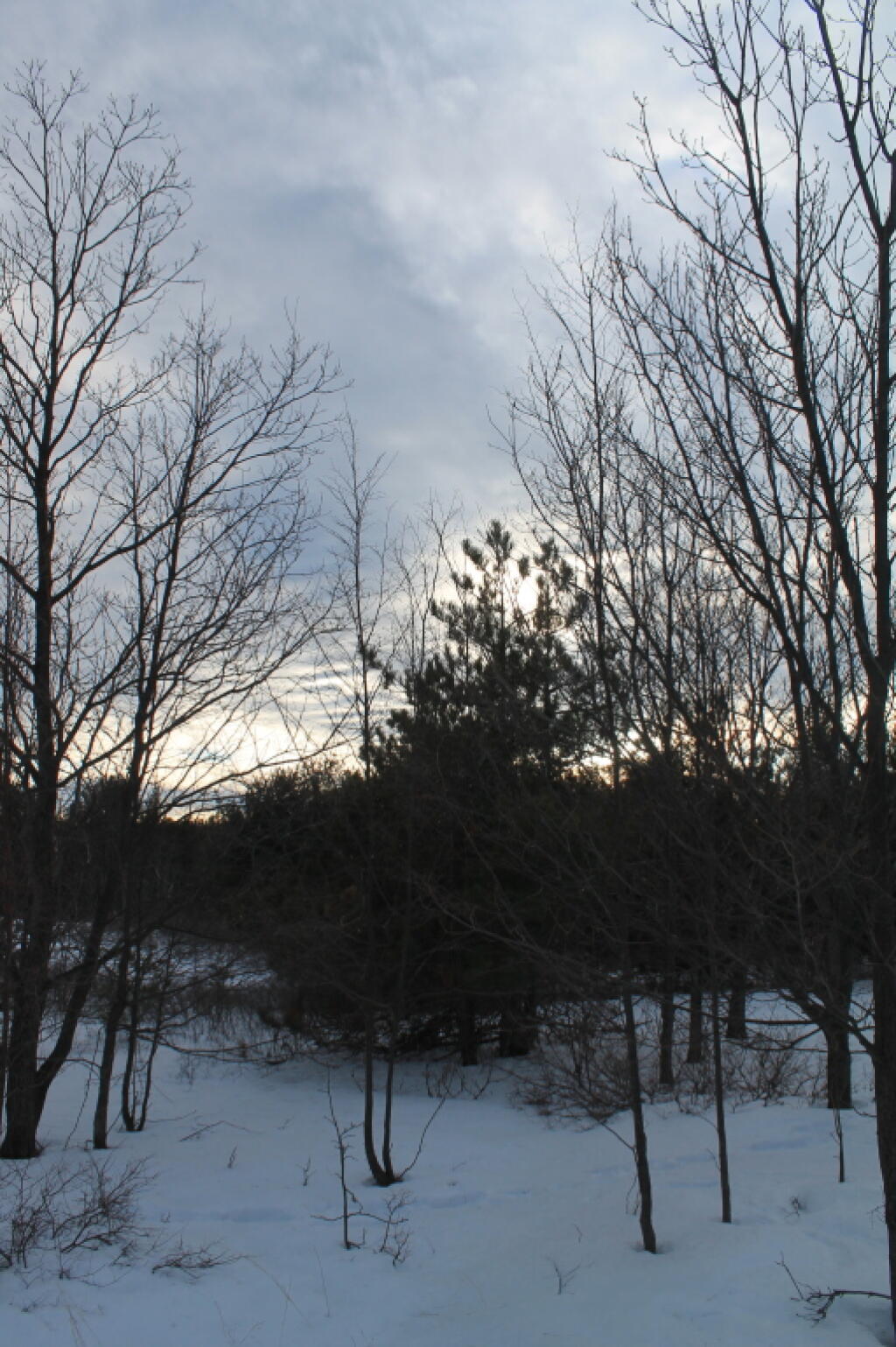 Photo: Cloudy