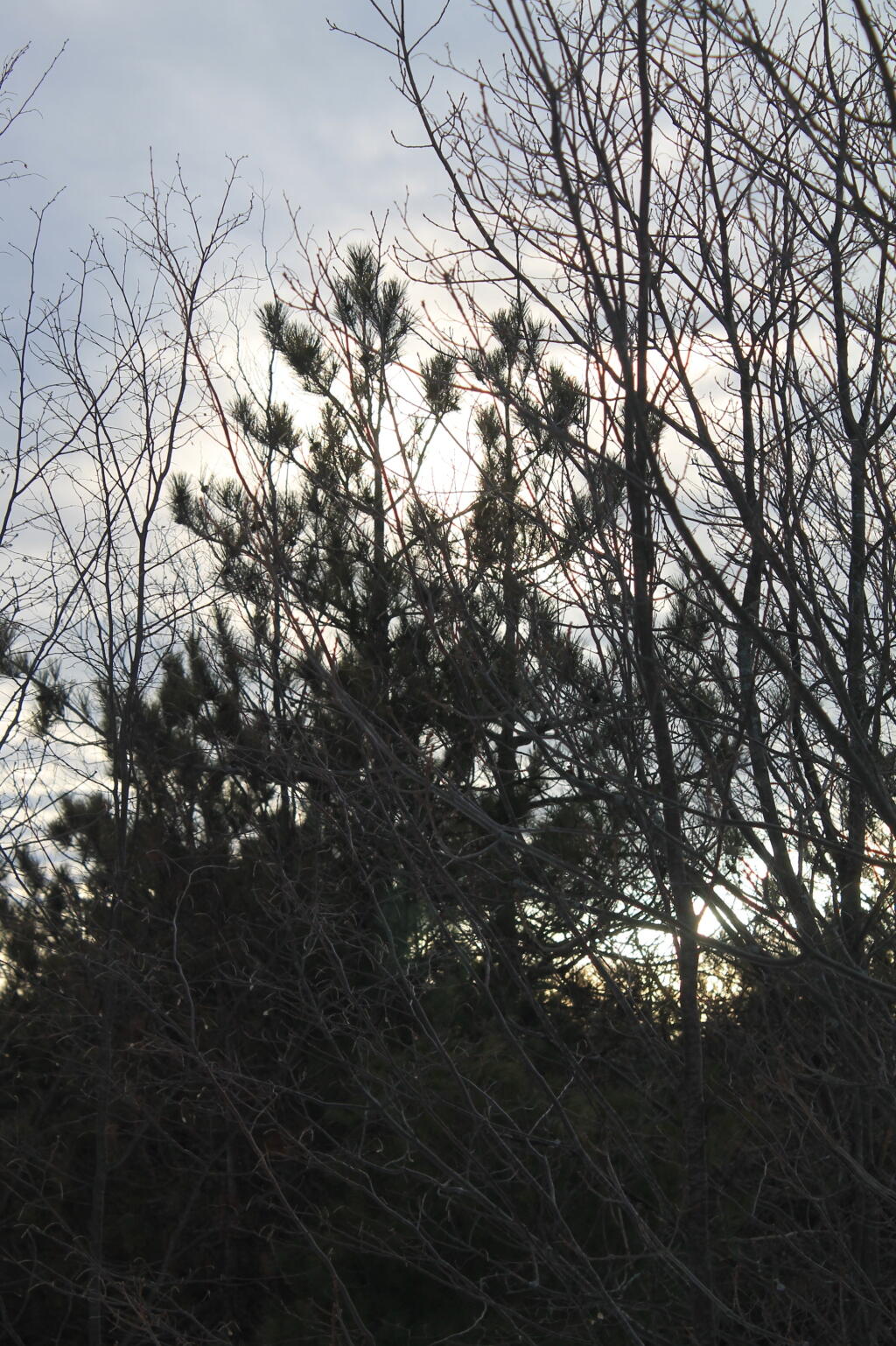 Photo: Dusk