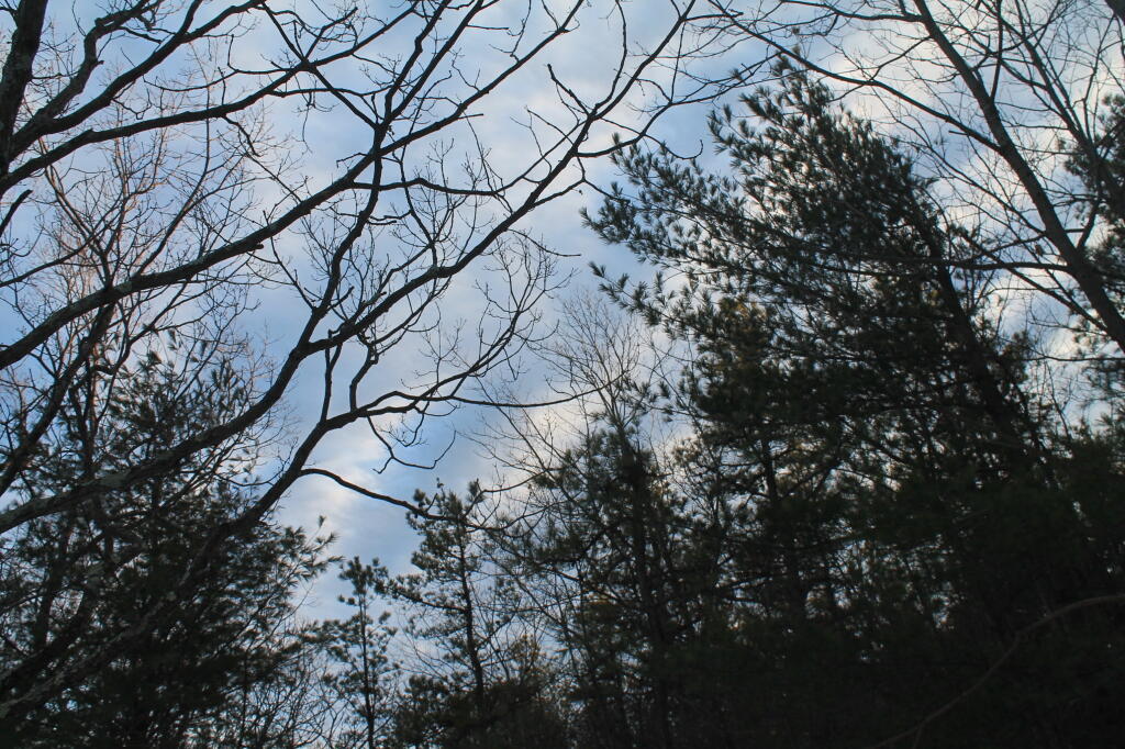 Photo: Clouding Up