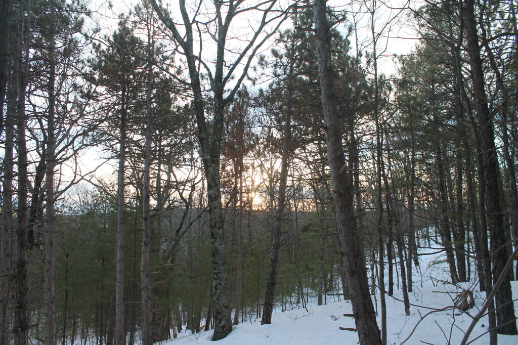 Photo: Evening hike