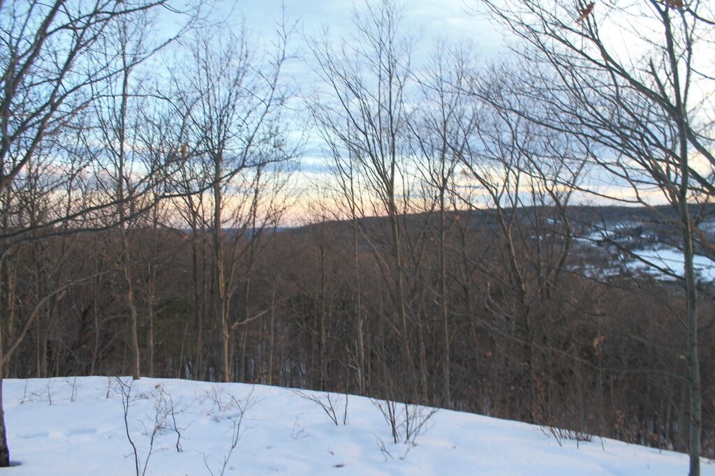 Photo: South