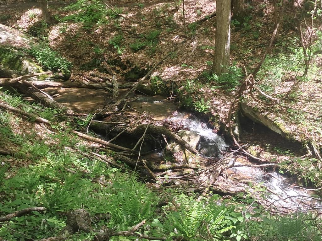 Photo: Waterfalls on Crossover Trail