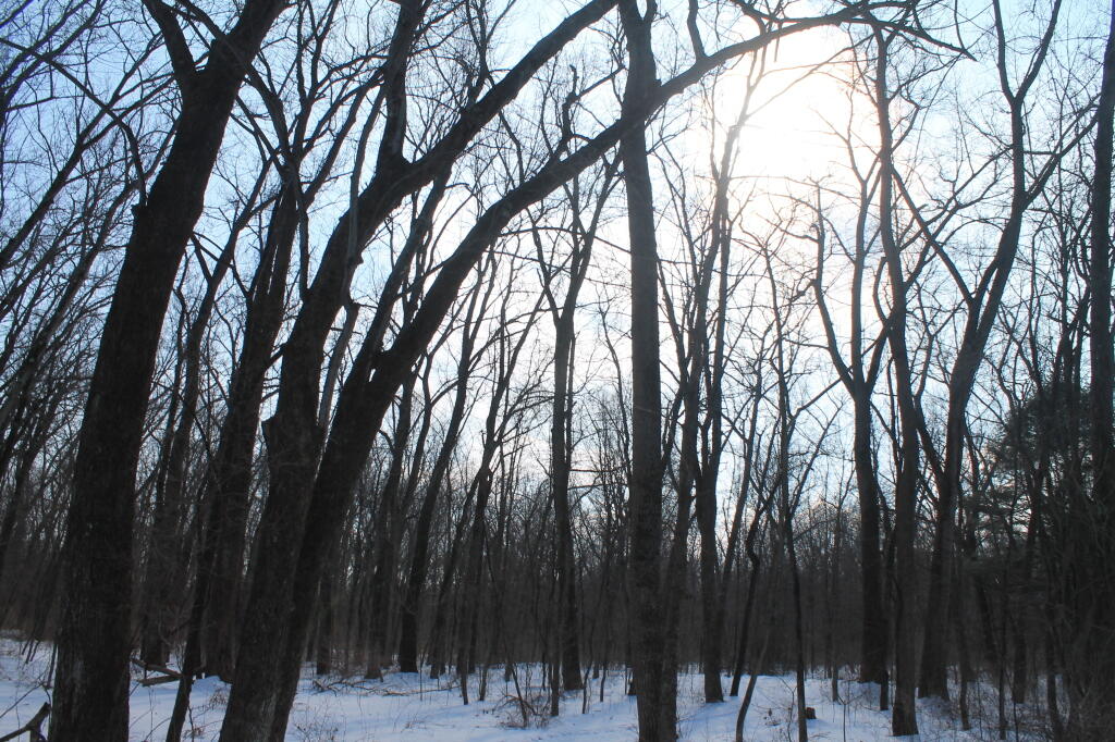 Photo: The Sun