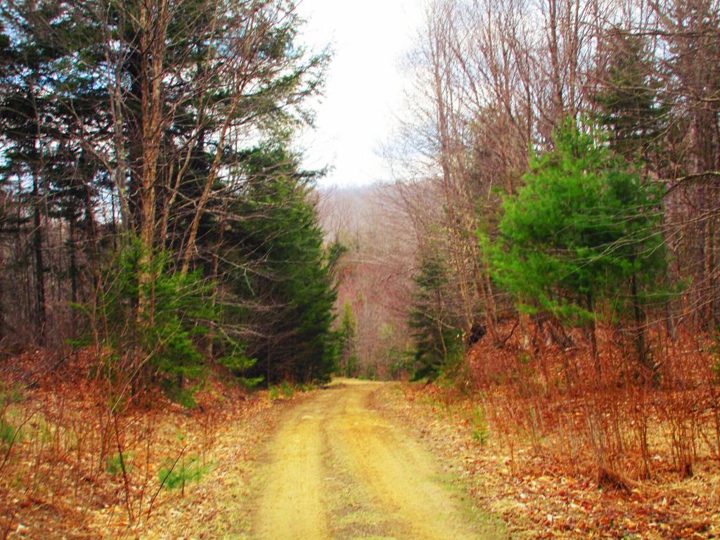 Photo: Tenant Creek ATV Trail