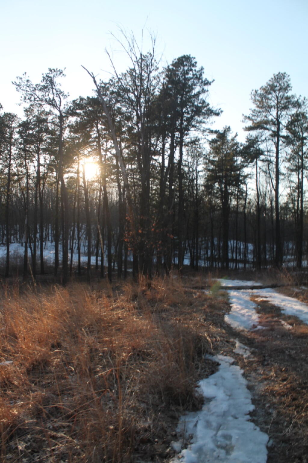 Photo: Sunset View