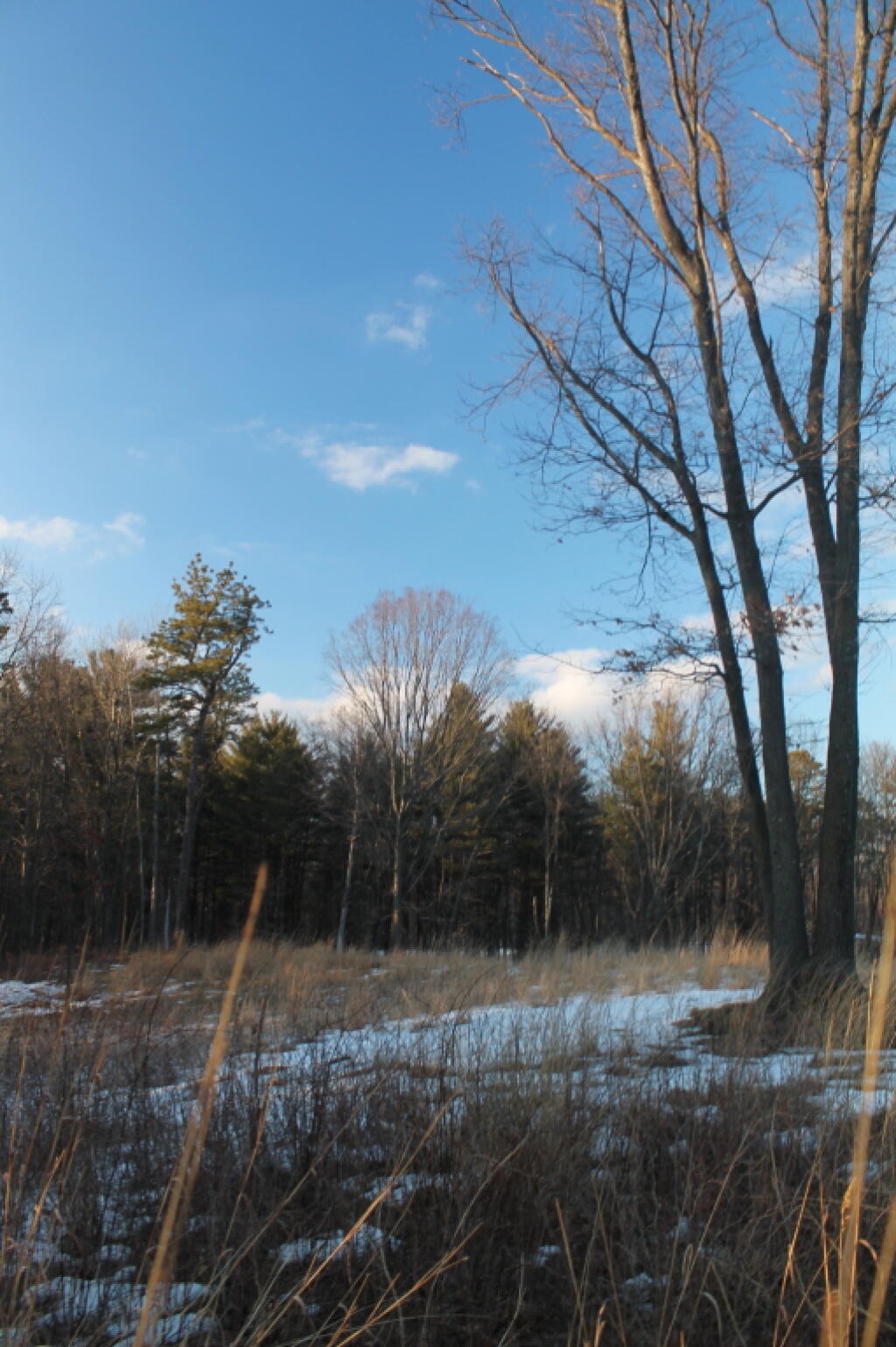 Photo: Some Snow Left