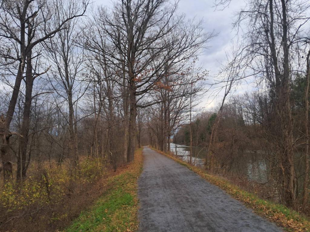 Photo: Untitled