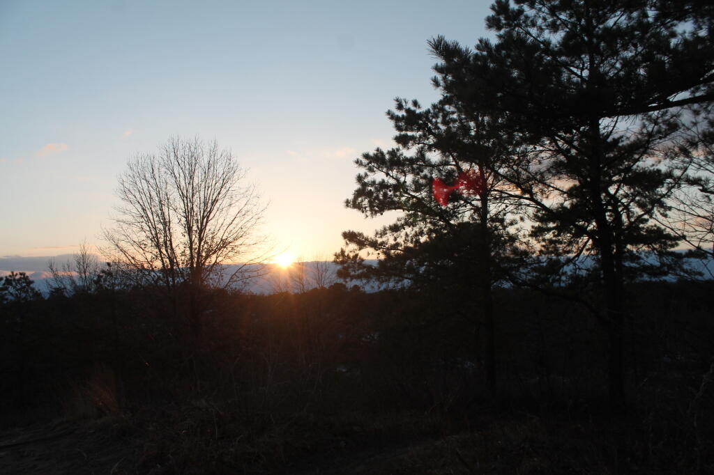 Photo: From Blueberry Hill