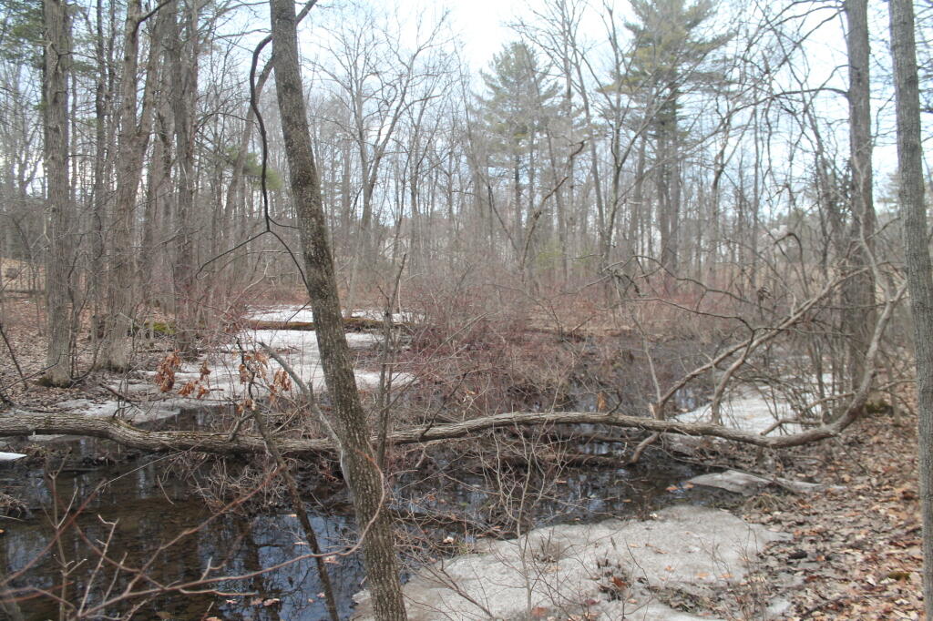 Photo: Wetlands that Start the Phillipin Kill