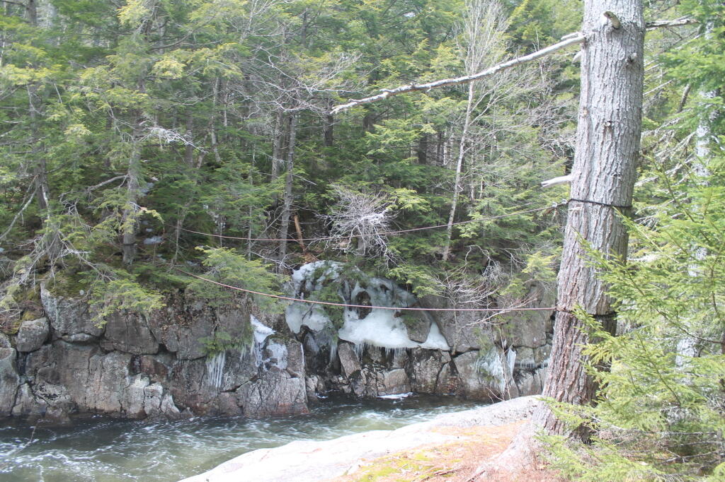 Photo: Cable Crossing Over the East Branch