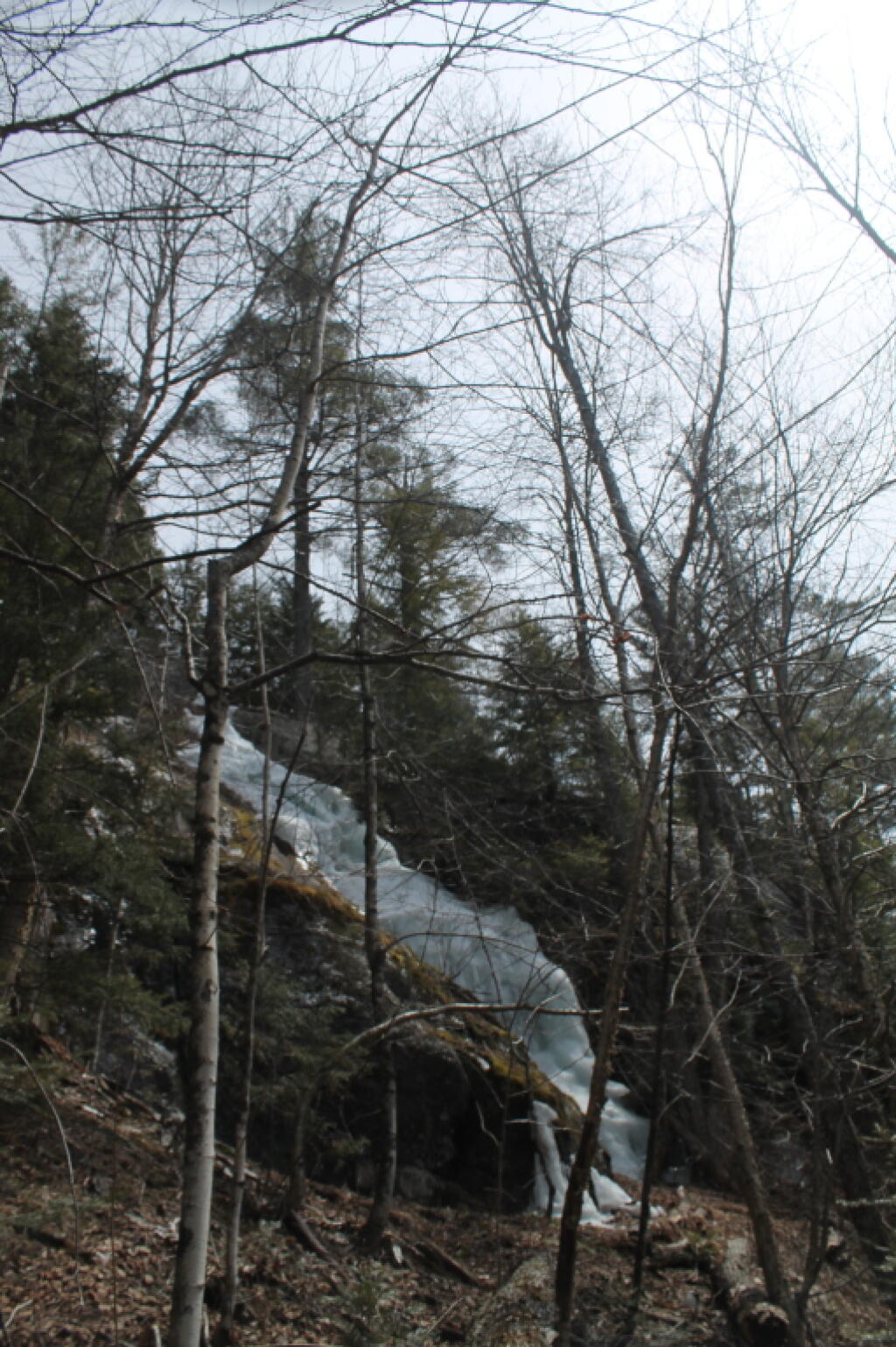 Photo: Another View of Waterfall