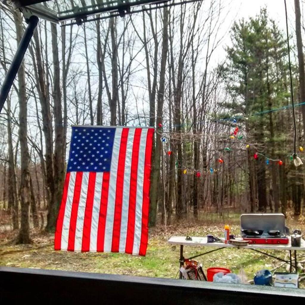 Photo: Looking out my back window