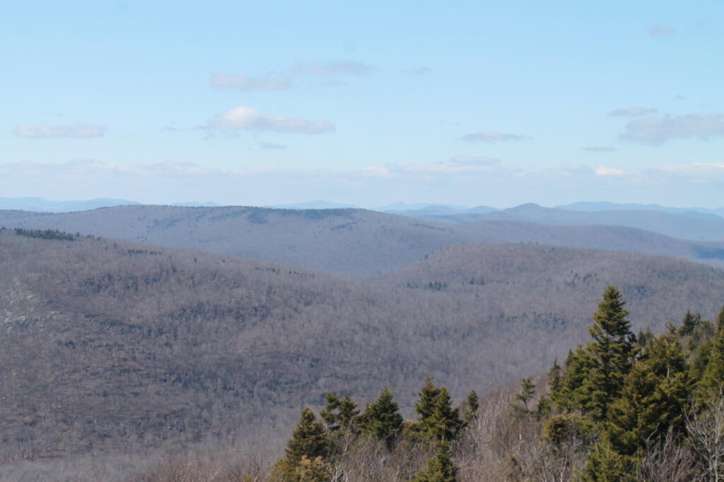 Photo: North from Firetower