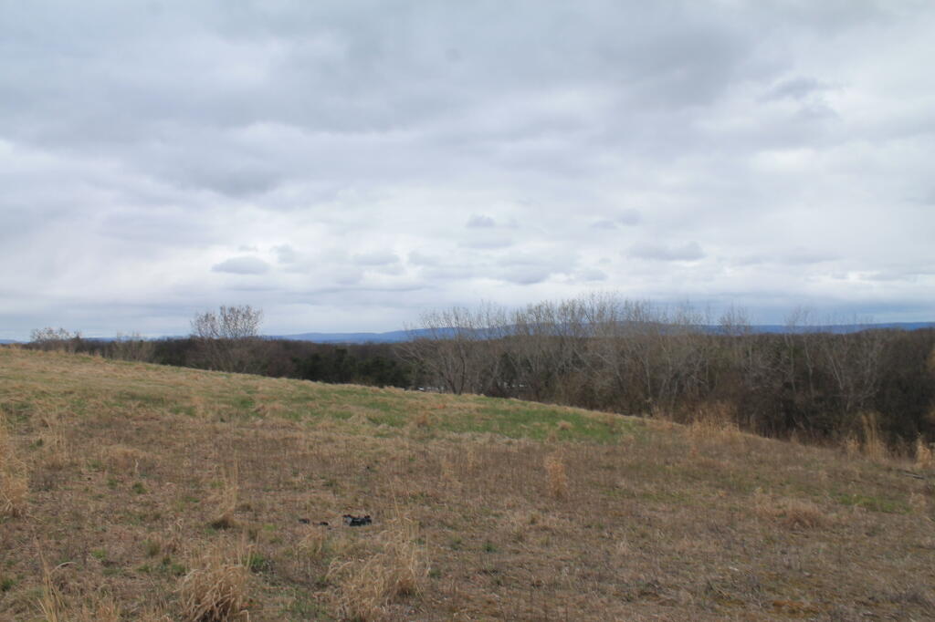 Photo: Looking South East