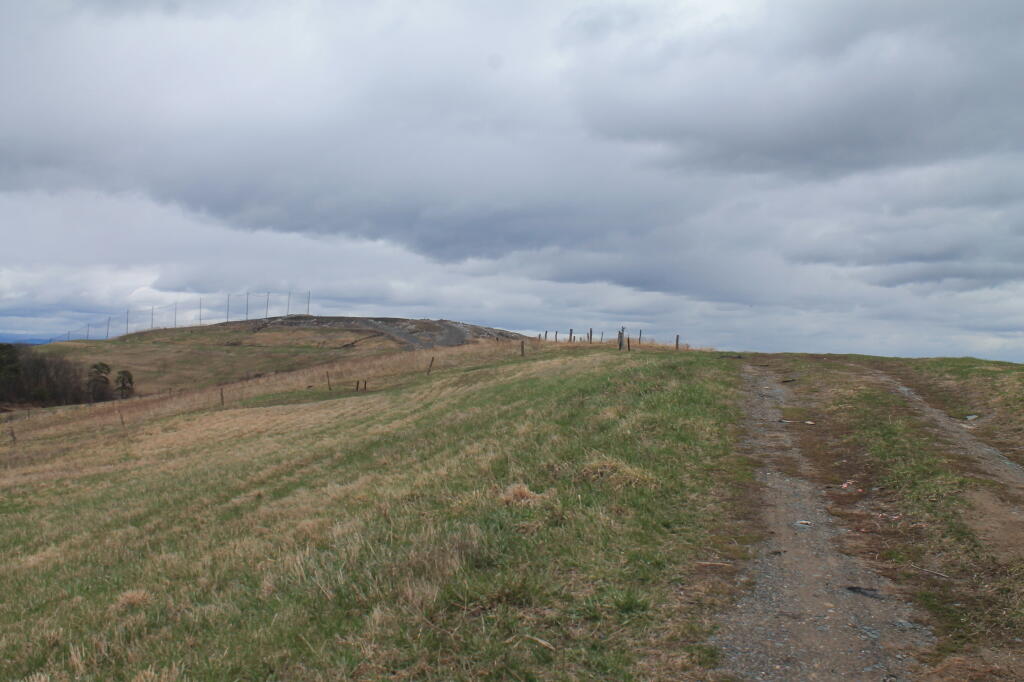 Photo: Road to the Top