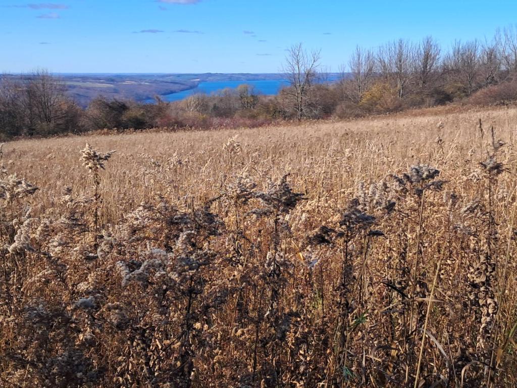 Photo: Looking Down to Skanatles Lake