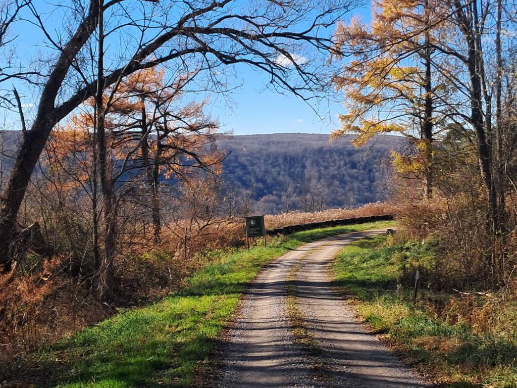Photo: Road to the Preserve