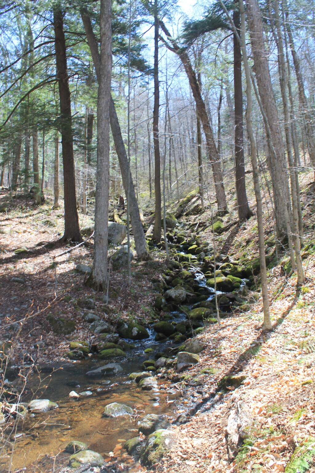 Photo: Unamed Brook on Kirby Pond Trail