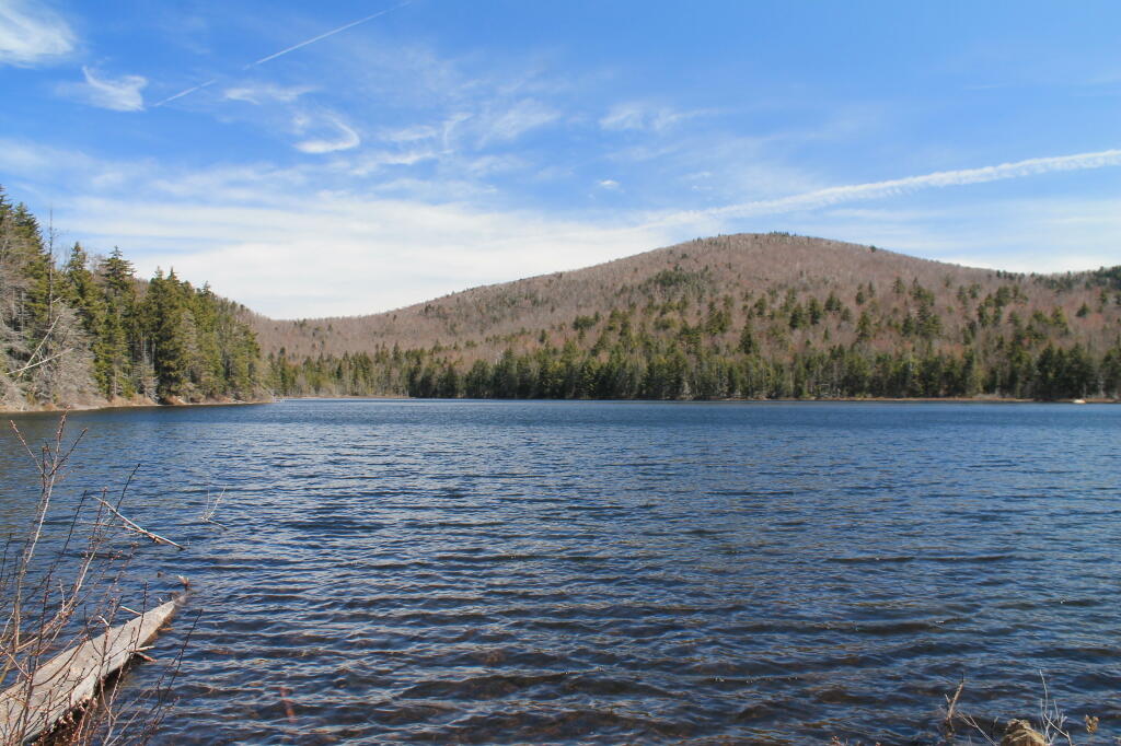 Photo: Kirby Pond