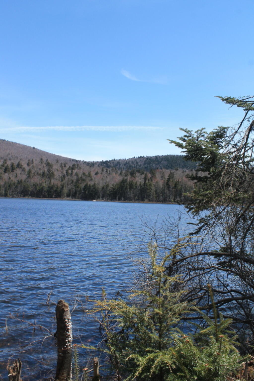 Photo: Kirby Pond 2