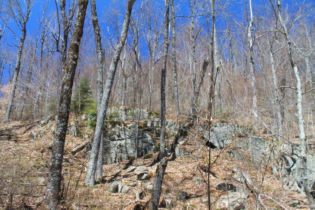 Photo: Ledge Above Kirby Pond