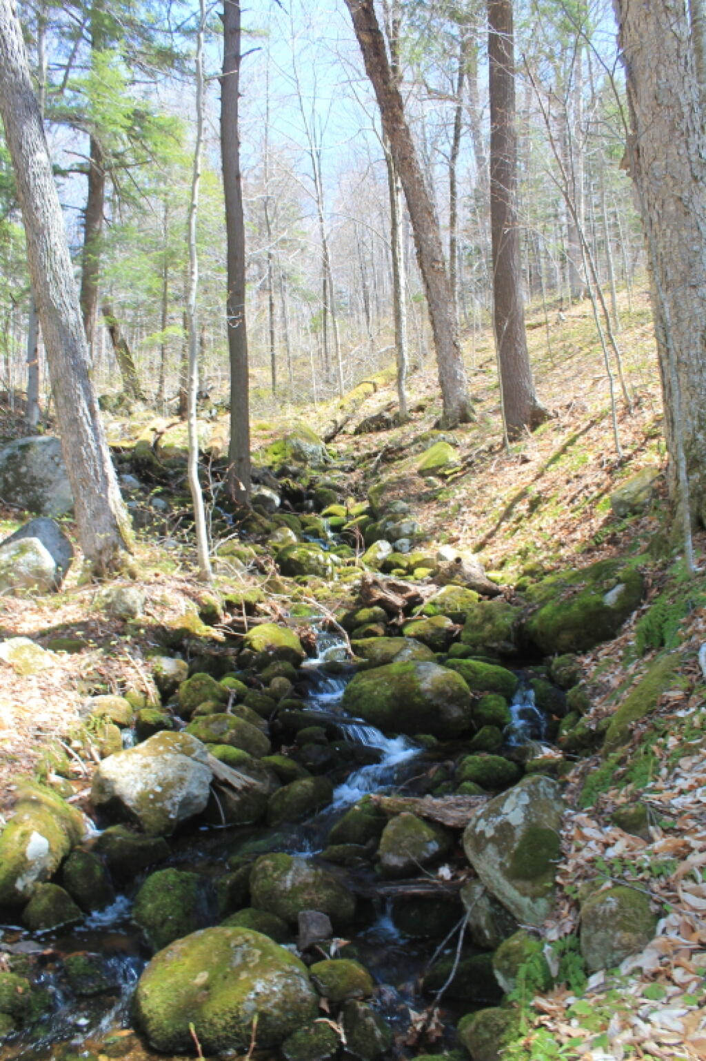 Photo: Another Waterfall