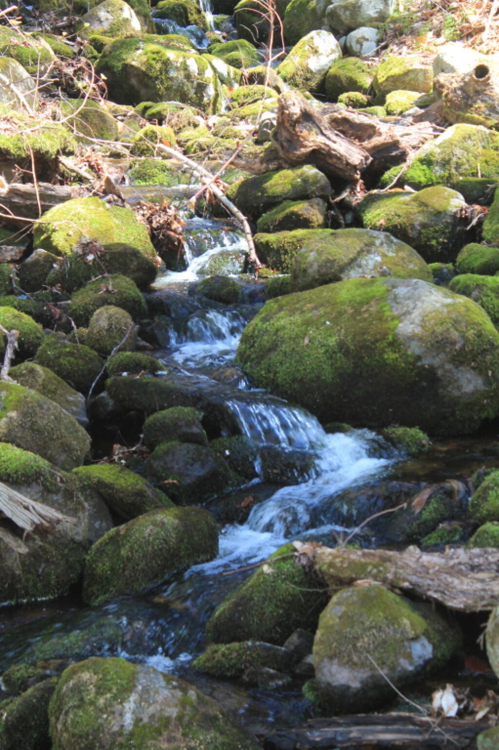 Photo: Waterfall Along the Trail