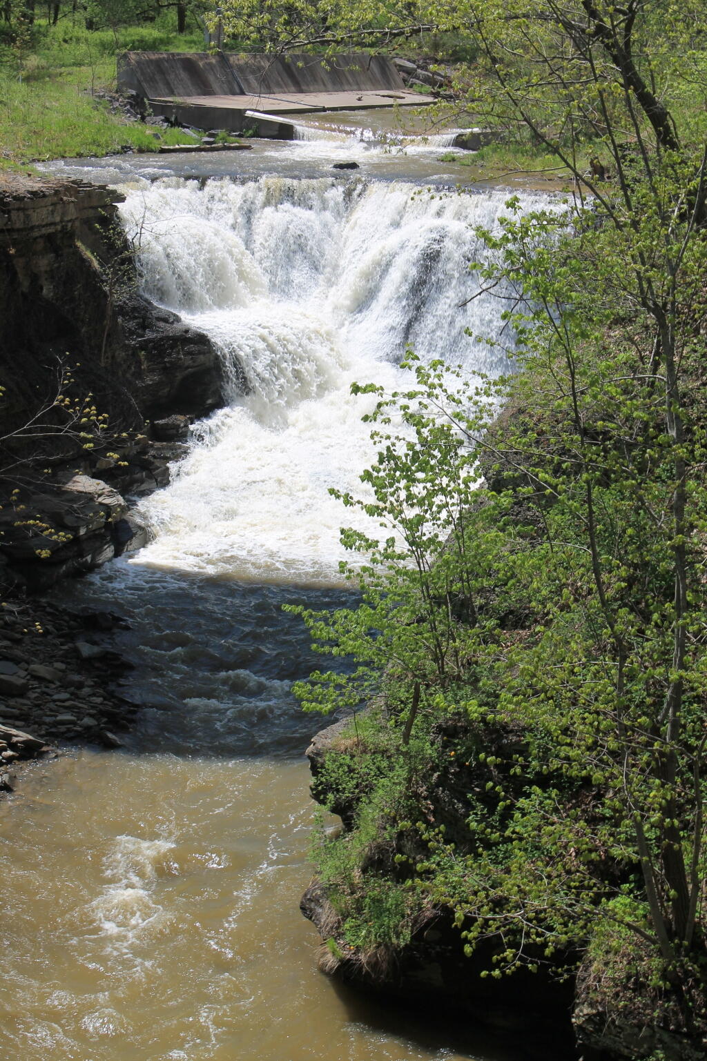Photo: Upper Falls