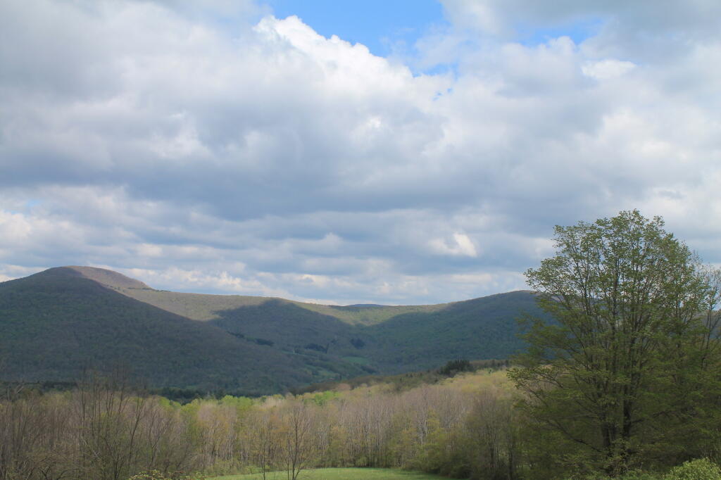 Photo: View from Gravesite