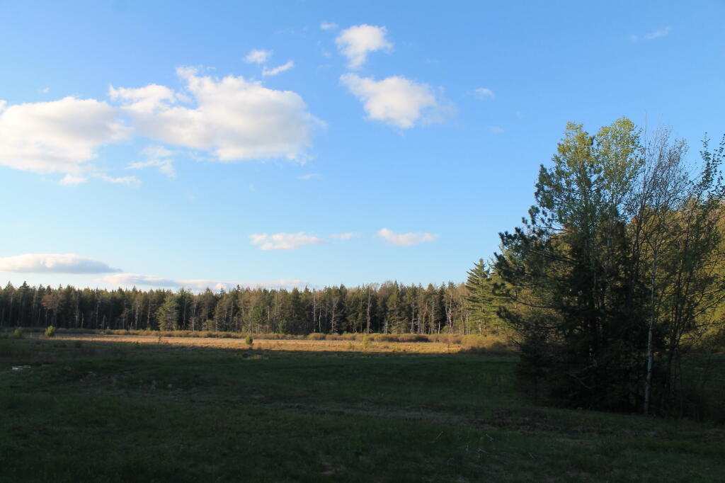Photo: Duck Pond