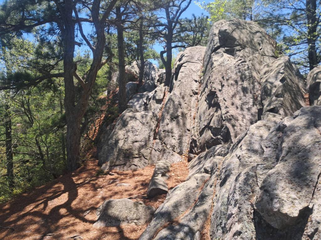 Photo: Rocks