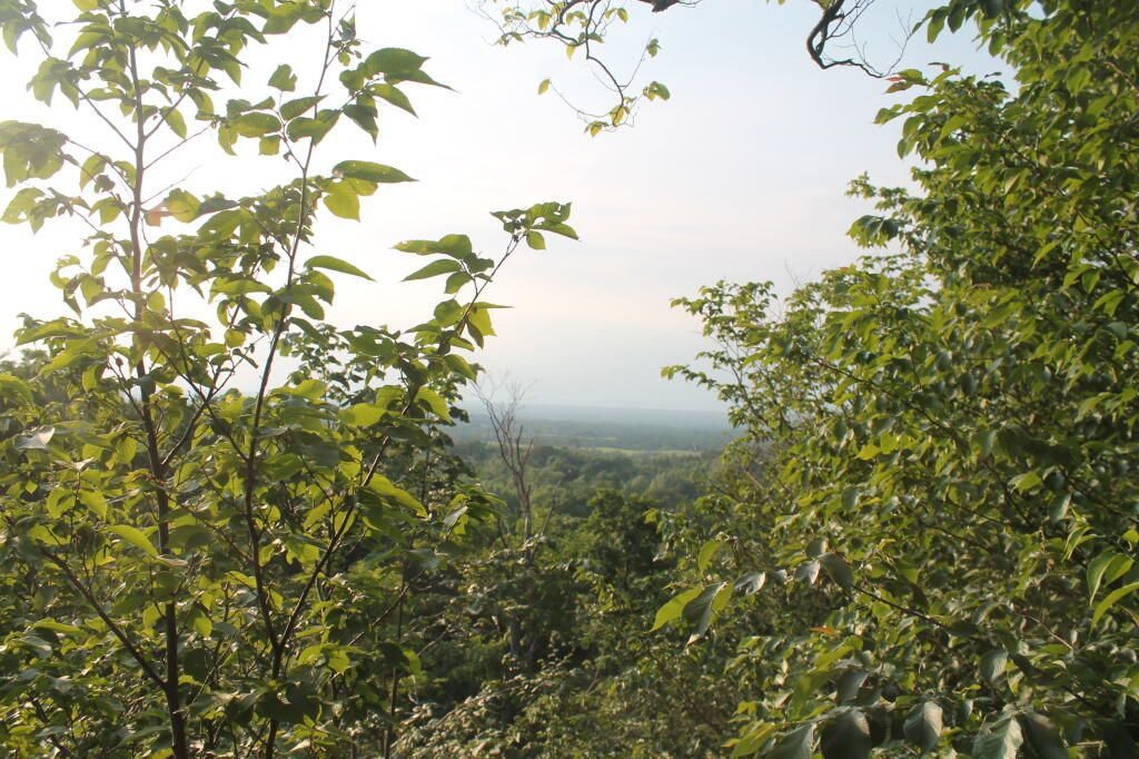 Photo: Overlook View
