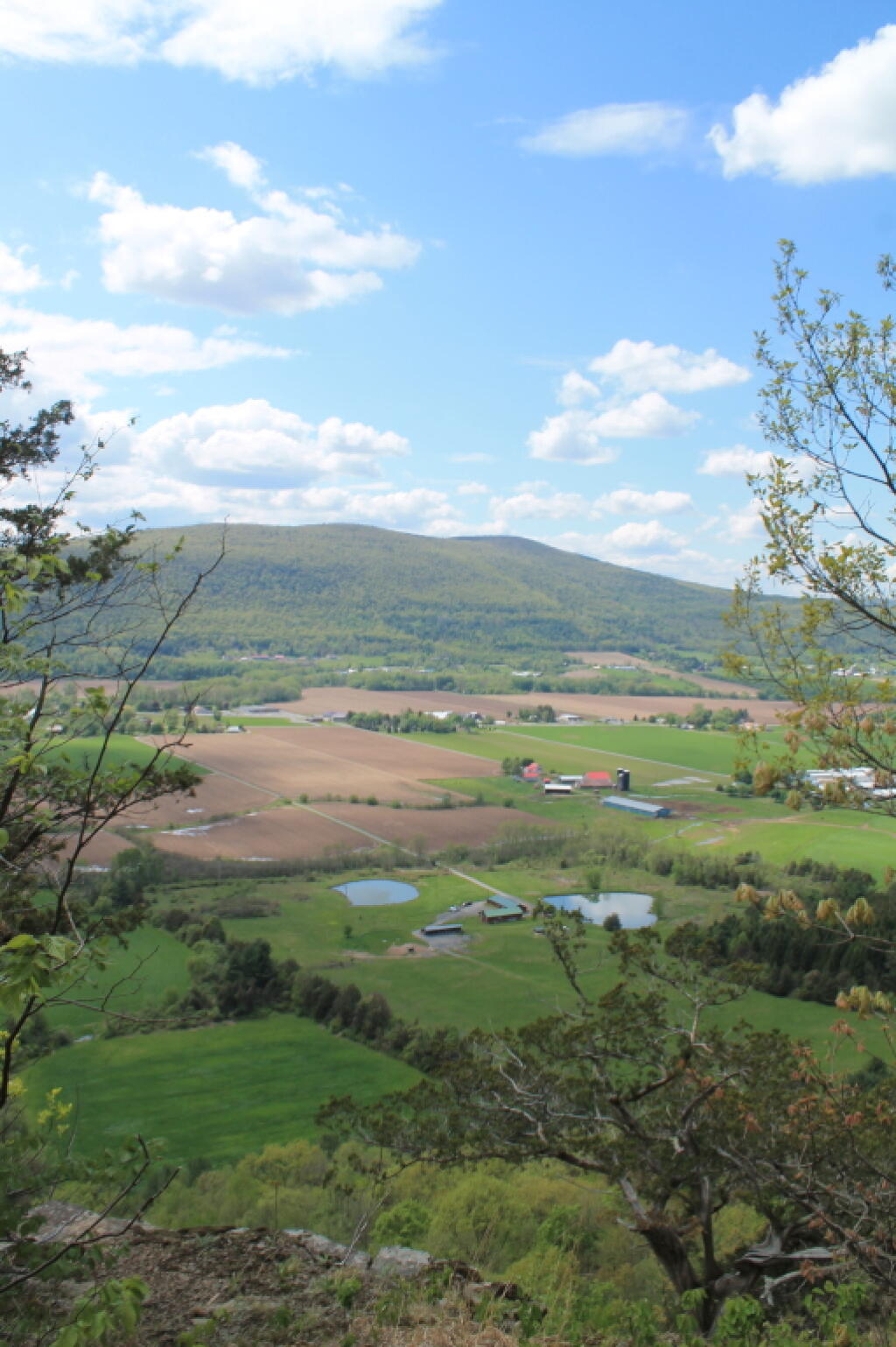 Photo: Schoharie Valley