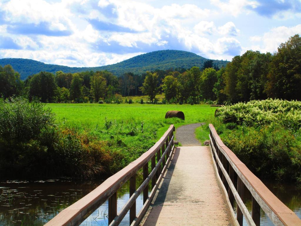 Photo: Bridge