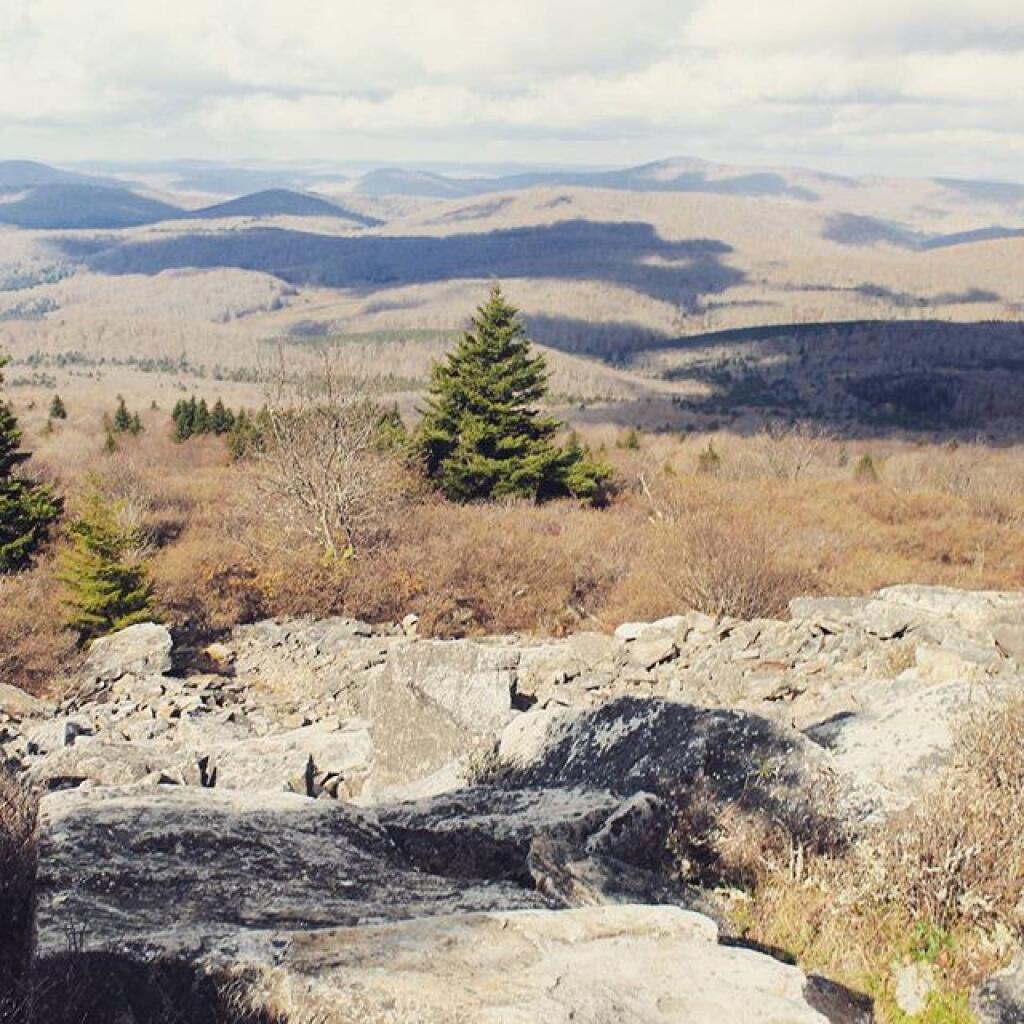 Photo: From Spruce Knob Mountain. Highest elevation in WV, 4863 elev.