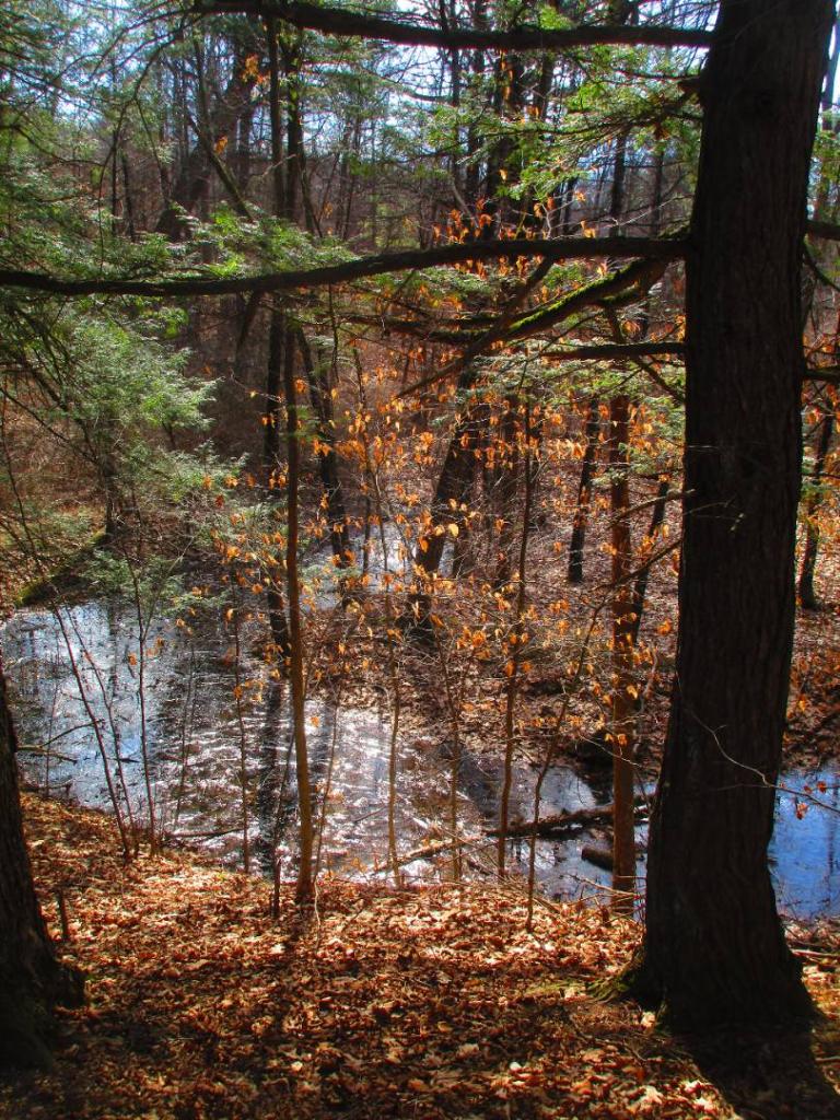 Photo: Late winter