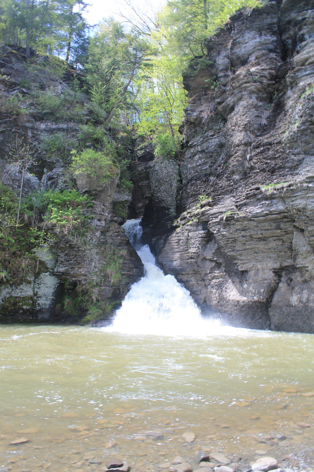Photo: Main Falls Was Really Flowing
