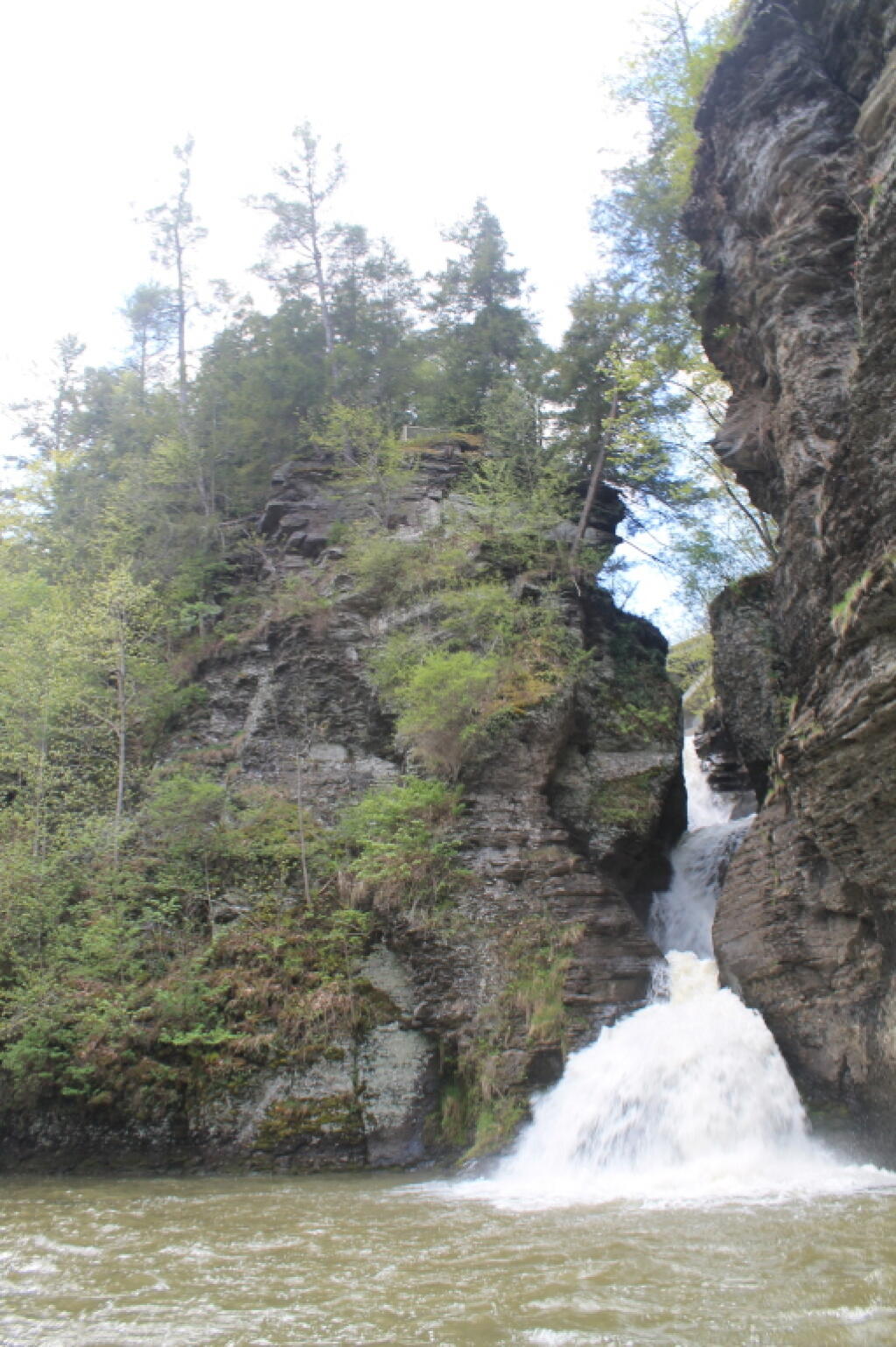 Photo: Looking Up Towards the Many Falls