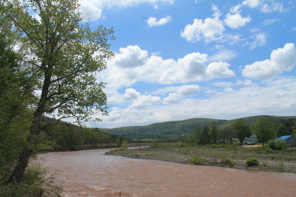 Photo: Up River